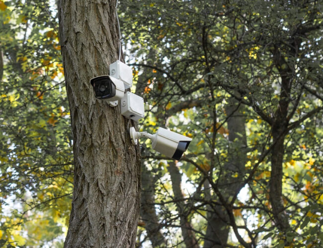 Seguridad Urracá lidera la instalación de cámaras de seguridad en Panamá